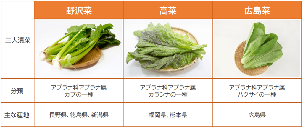 野沢菜と高菜と広島菜の比較表