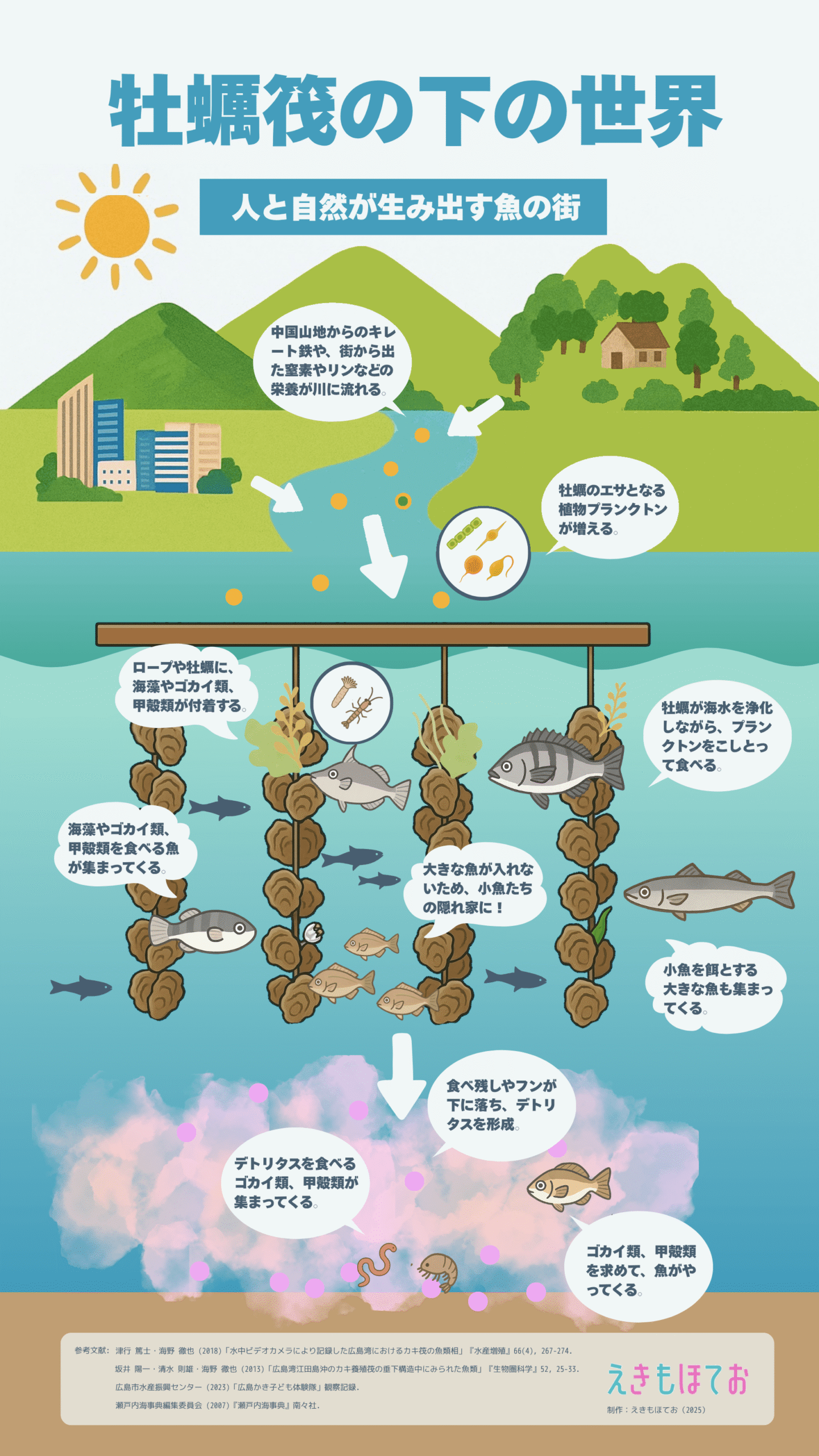 広島湾の牡蠣筏の下で起こっている生態系の図解。川から流れる栄養が植物プランクトンを育て、牡蠣がそれをこしとって食べ、デトリタスが生まれ、ゴカイ類・甲殻類・小魚・クロダイ・ウマズラハギなど多くの魚が集まるしくみを示した図。