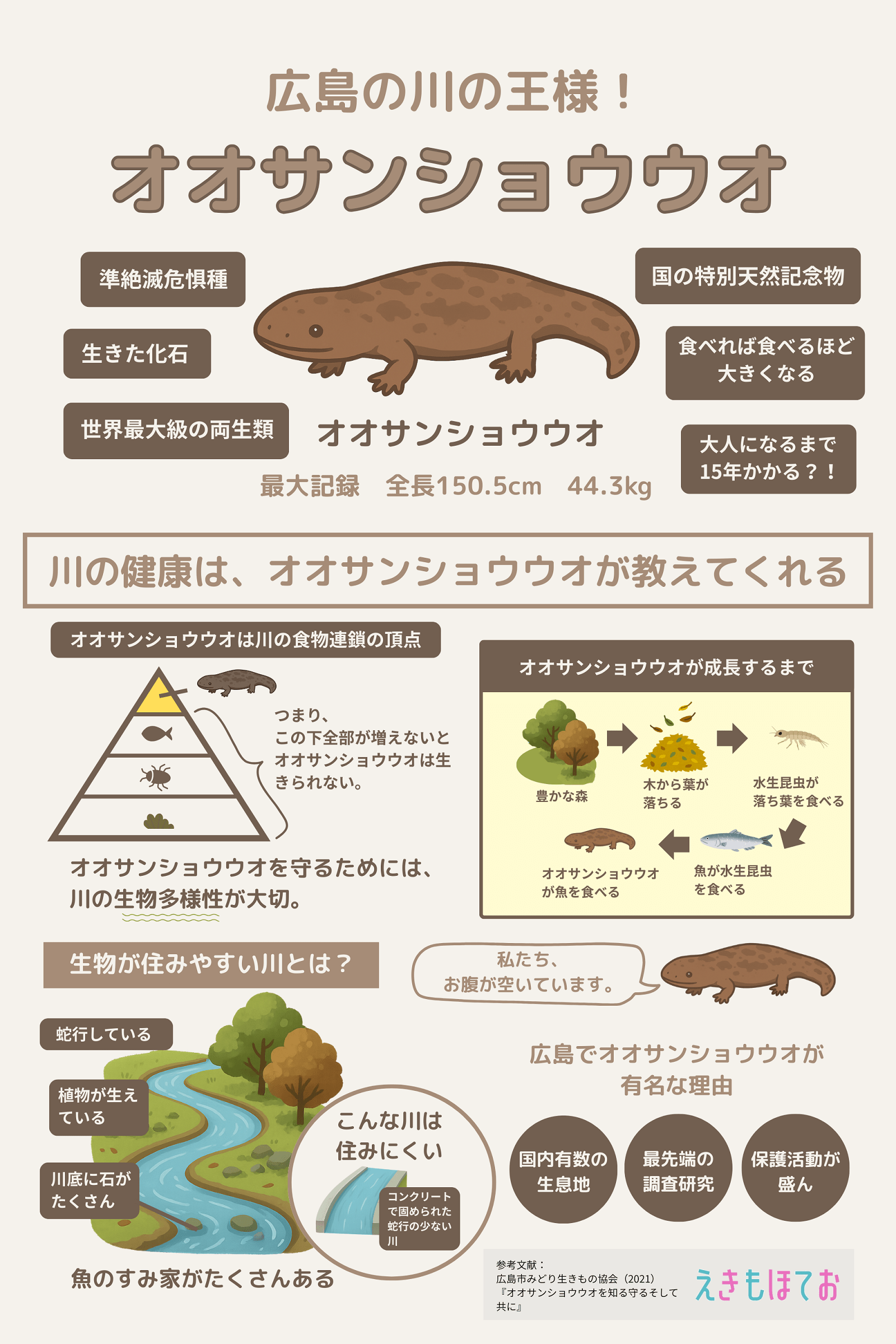 広島の川に生息するオオサンショウウオの特徴、生態、生息環境、食物連鎖、川の健康との関係をまとめた図解。